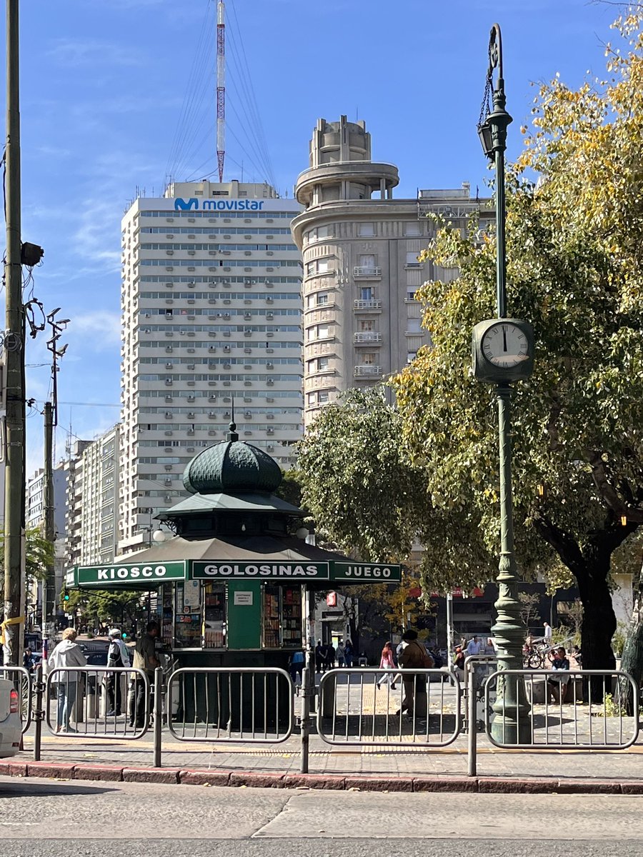 La ciudad también tiene estas maravillas,
es cuestión de detenerse a mirar.

Montevideo, 2025