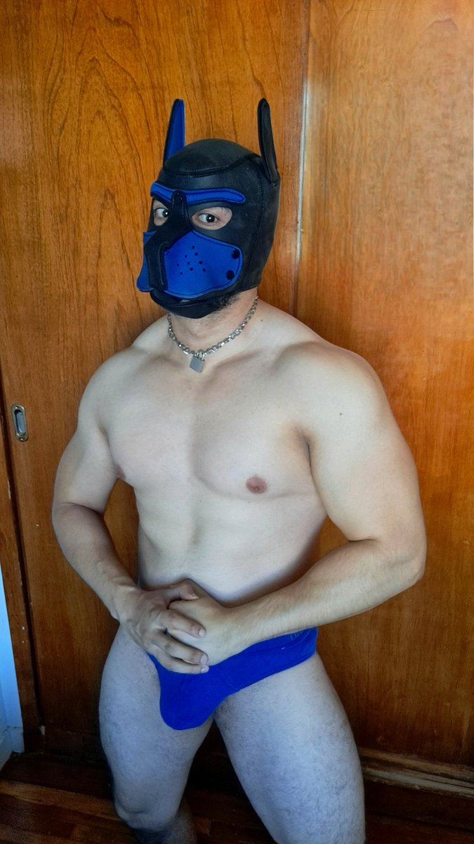 GEORGE_MHMH's tweet photo. Cachorro en adopción 😈😏 https://t.co/i8V9AGq9I2