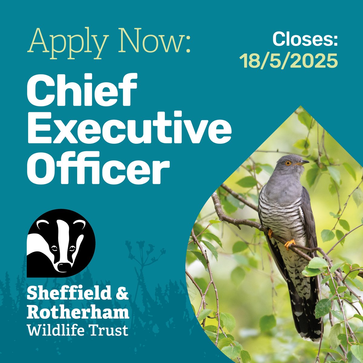🚨 We're re-advertising this fantastic CEO role at Sheffield &amp; Rotherham Wildlife Trust!

We're looking for a visionary leader to drive forward our strategy for nature &amp; people.

🌿 Please share &amp; apply here 👉 wildsheffield.com/about/work-for…

#CEOJobs #EnvironmentalLeadership