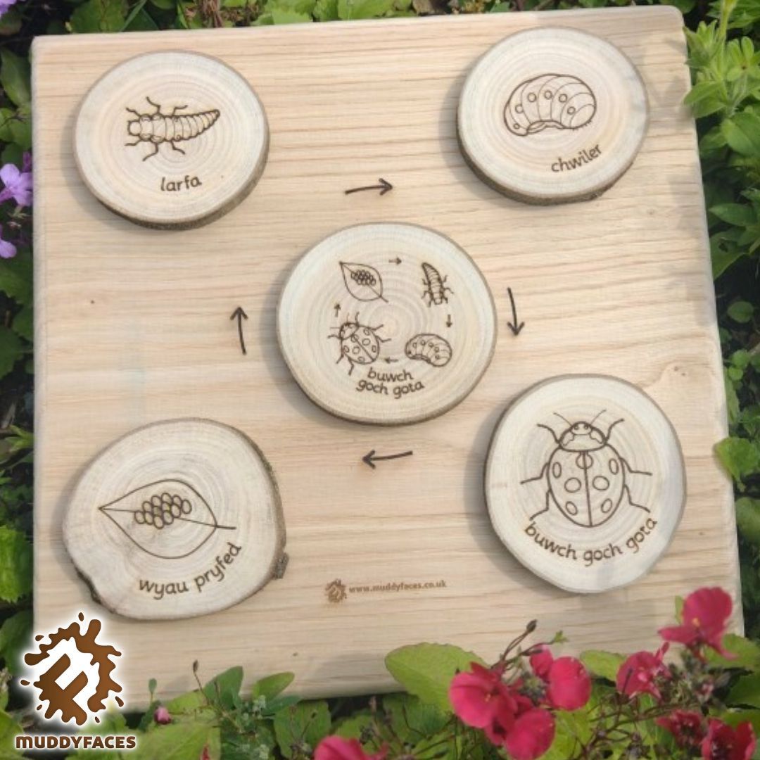 It's Wales Outdoor Learning week next week (28th April - 4th May) 💚 
Did you know we have a selection of UK Grown wood Welsh Language resources? muddyfaces.co.uk/shop/welsh-lan… 
#walesoutdoorlearningweek #welshlanguage #outdoorlearning