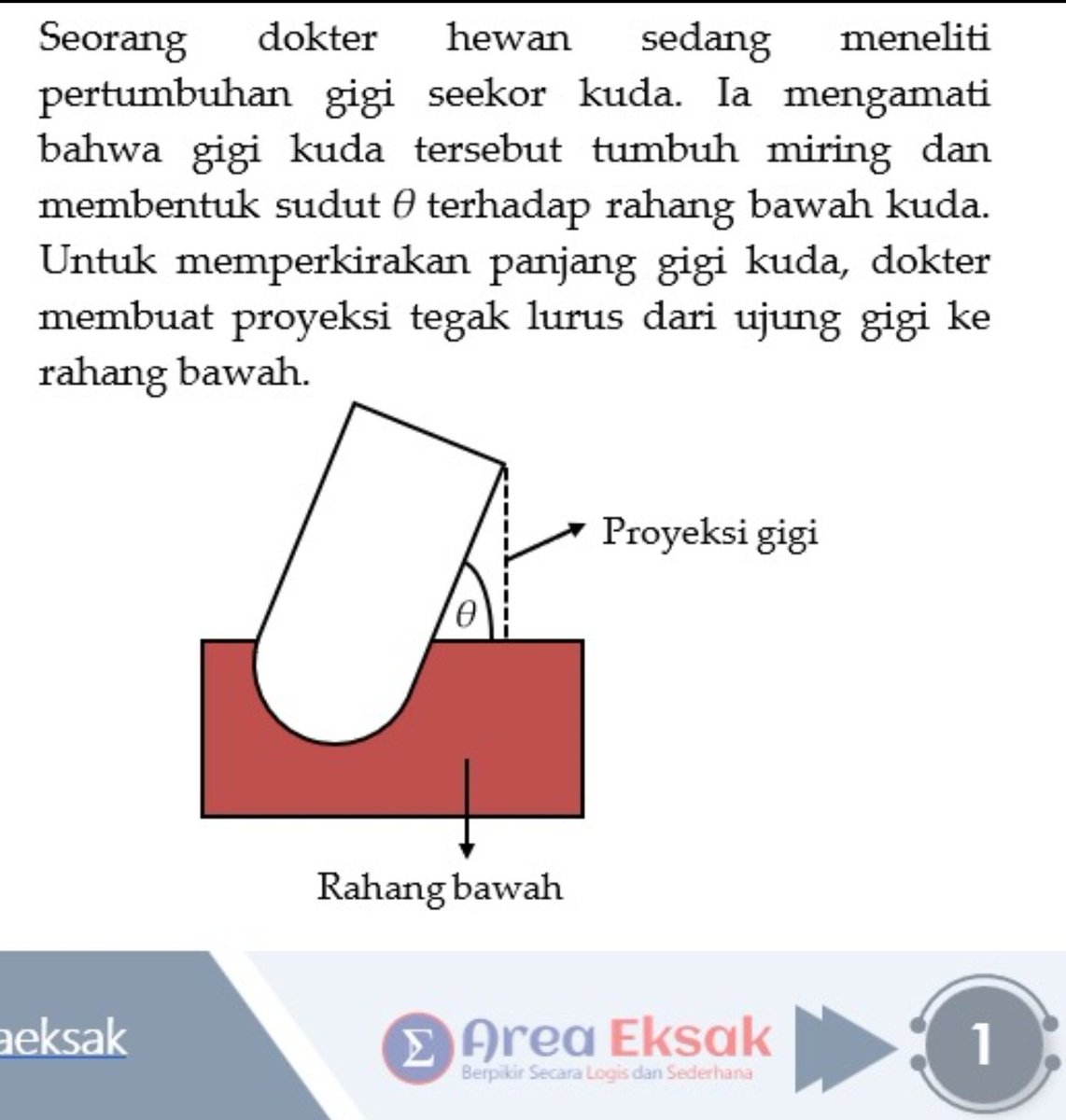 Area Eksak tweet media