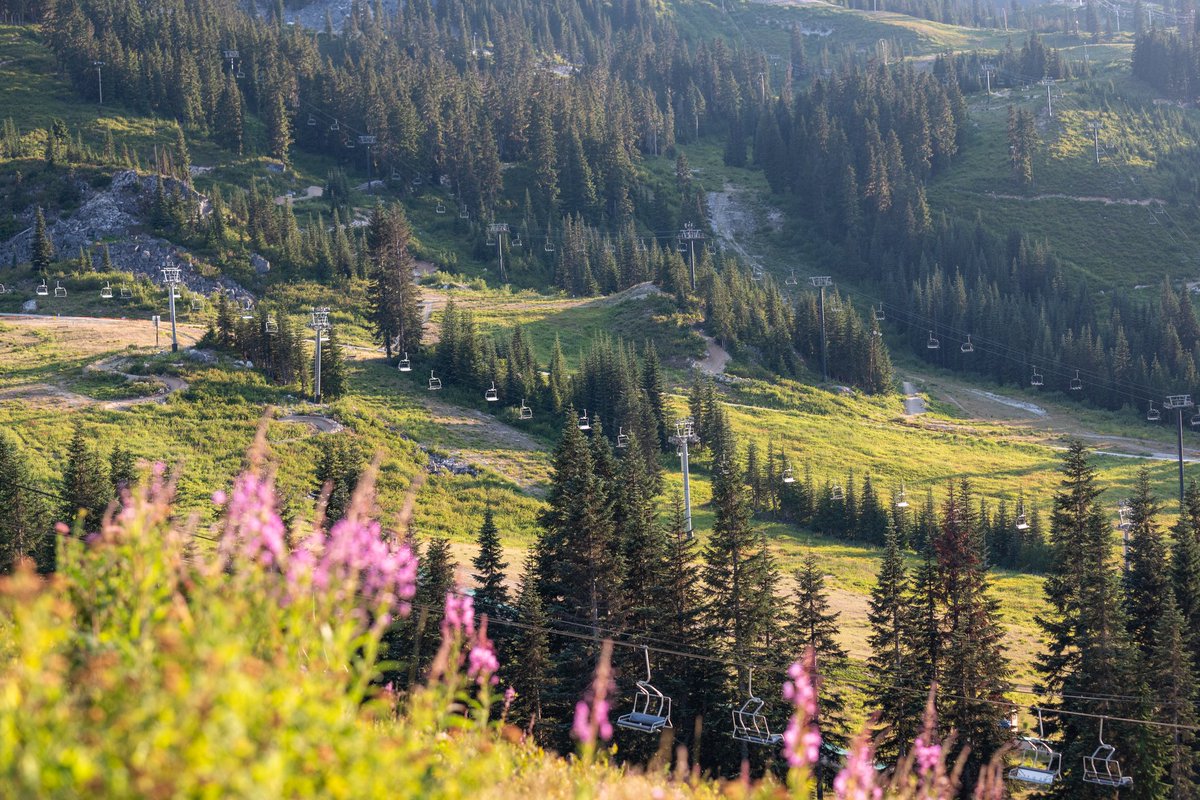 Stevens Pass tweet media