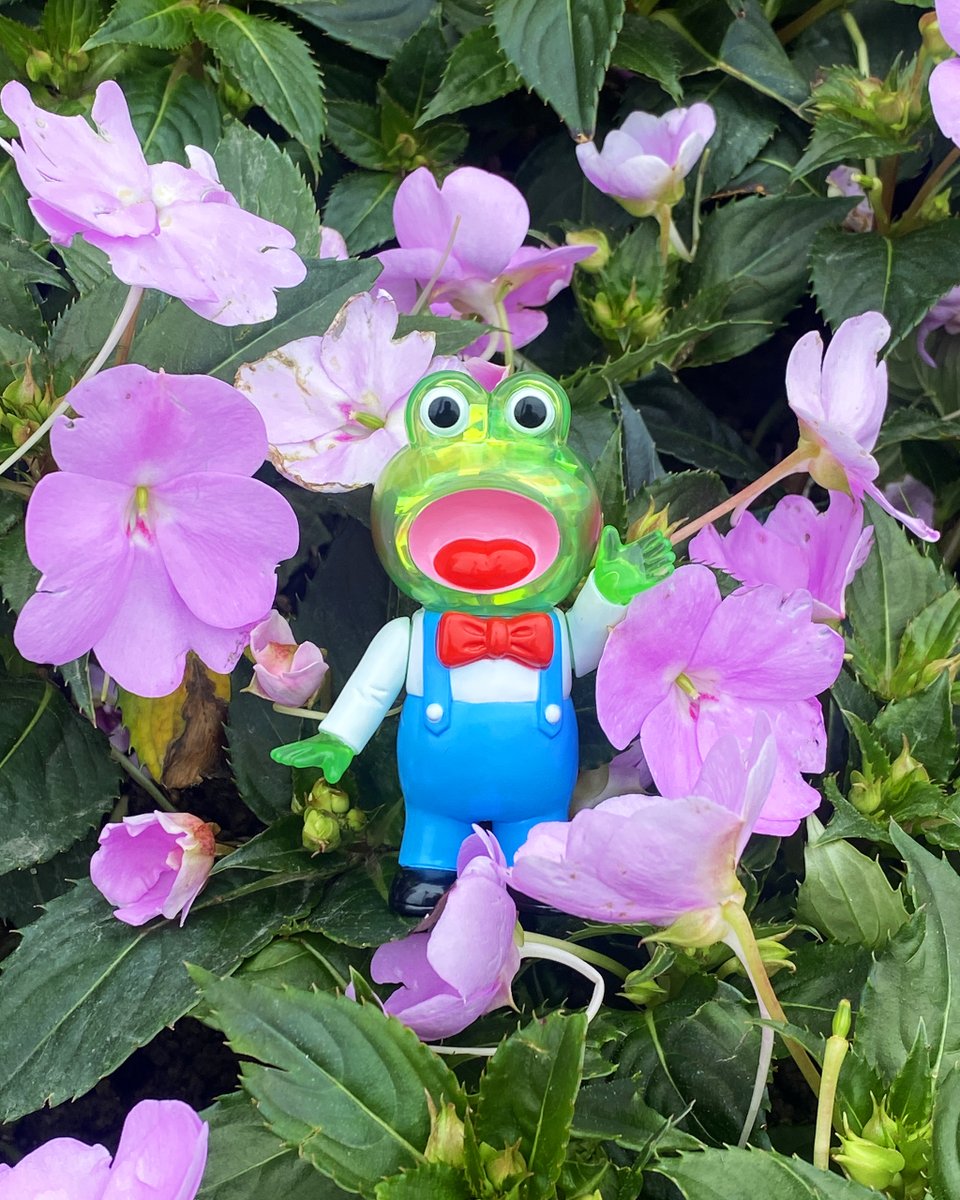 PointlessIsland's tweet photo. Pointless Island Singing Little Frog Clear version ~🪻

Brand new clear Red and Yellow, and Green version restock now available! 🐸
Stand about 90mm

Available at @ToyUndergroundS  
https://t.co/zeW2k6yoGU

#frog #青蛙 #カエル #doll #animal #cute #awesometoy https://t.co/b85QNvnQlL