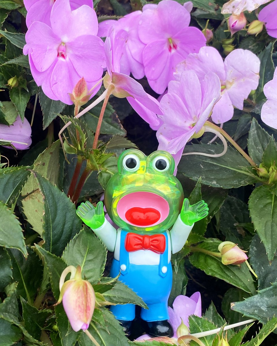 PointlessIsland's tweet photo. Pointless Island Singing Little Frog Clear version ~🪻

Brand new clear Red and Yellow, and Green version restock now available! 🐸
Stand about 90mm

Available at @ToyUndergroundS  
https://t.co/zeW2k6yoGU

#frog #青蛙 #カエル #doll #animal #cute #awesometoy https://t.co/b85QNvnQlL