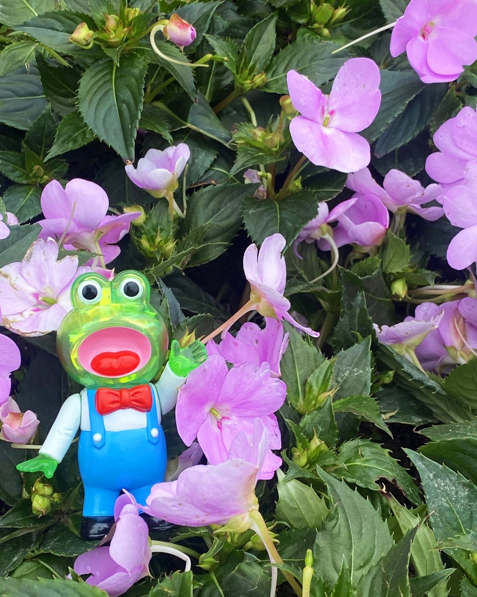 PointlessIsland's tweet photo. Pointless Island Singing Little Frog Clear version ~🪻

Brand new clear Red and Yellow, and Green version restock now available! 🐸
Stand about 90mm

Available at @ToyUndergroundS  
https://t.co/zeW2k6yoGU

#frog #青蛙 #カエル #doll #animal #cute #awesometoy https://t.co/b85QNvnQlL