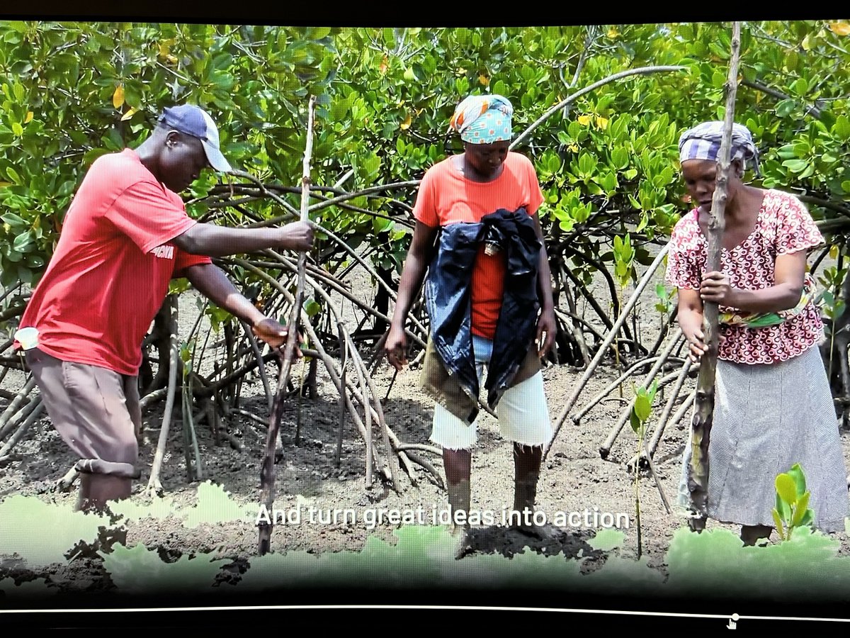 🌍 Our Director for Africa, <a href="/MadeleineFCDO/">MadeleineGarlick</a> , represented One Carbon World at #GLFForest 2025, where experts and stakeholders gathered to champion the importance of resilient, sustainable forests and their crucial role in tackling climate change and biodiversity loss