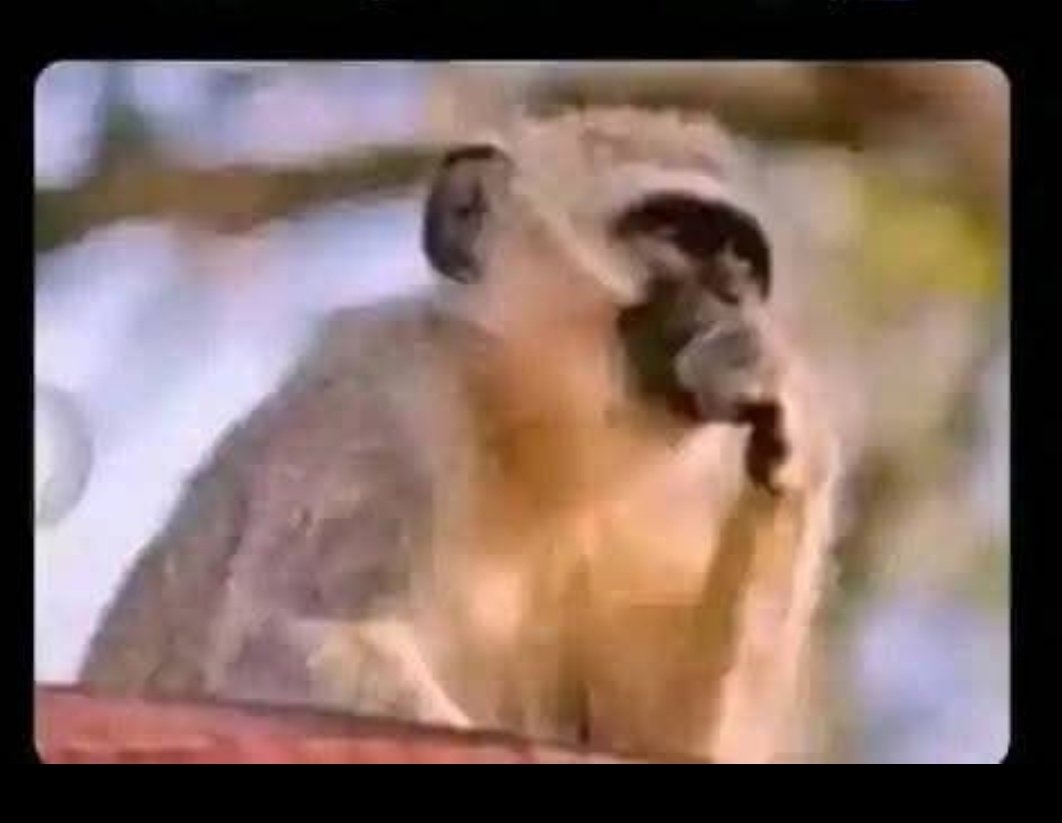 Mulinga abangamba ba followers 100 benina bamala😞