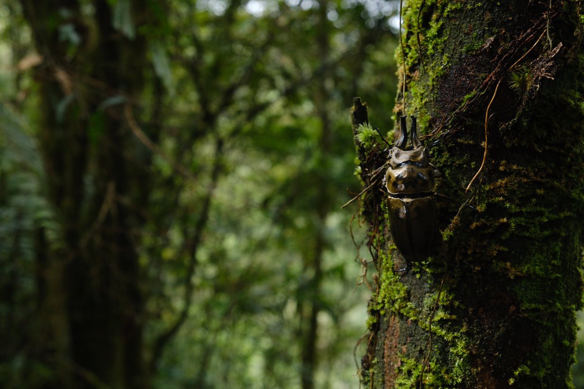 ローソンに関する記録を収集