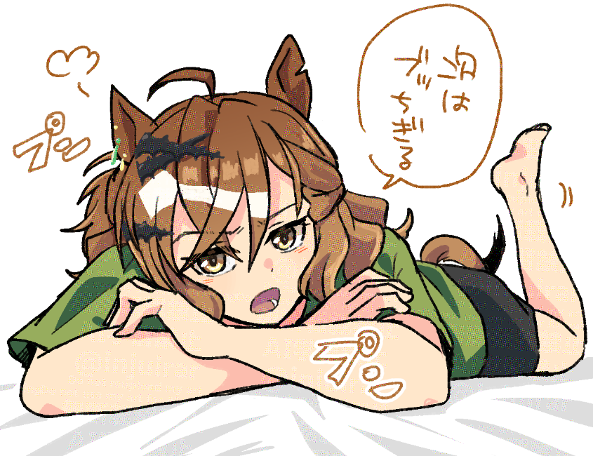 ポッケちゃん 