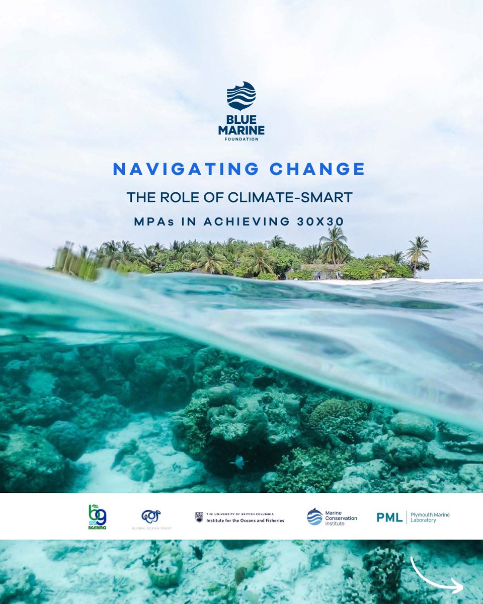 Plymouth Marine Lab (@plymouthmarine) on Twitter photo Proud to share this landmark new report by <a href="/Bluemarinef/">Blue Marine Foundation</a>, which explores how #ClimateChange mitigation, adaptation & resilience can be integrated into the design and placement of #MarineProtectedAreas to ensure they are ‘future-proof’ in a #ChangingClimate: bluemarinefoundation.com/wp-content/upl… Proud to share this landmark new report by <a href="/Bluemarinef/">Blue Marine Foundation</a>, which explores how #ClimateChange mitigation, adaptation & resilience can be integrated into the design and placement of #MarineProtectedAreas to ensure they are ‘future-proof’ in a #ChangingClimate: bluemarinefoundation.com/wp-content/upl…