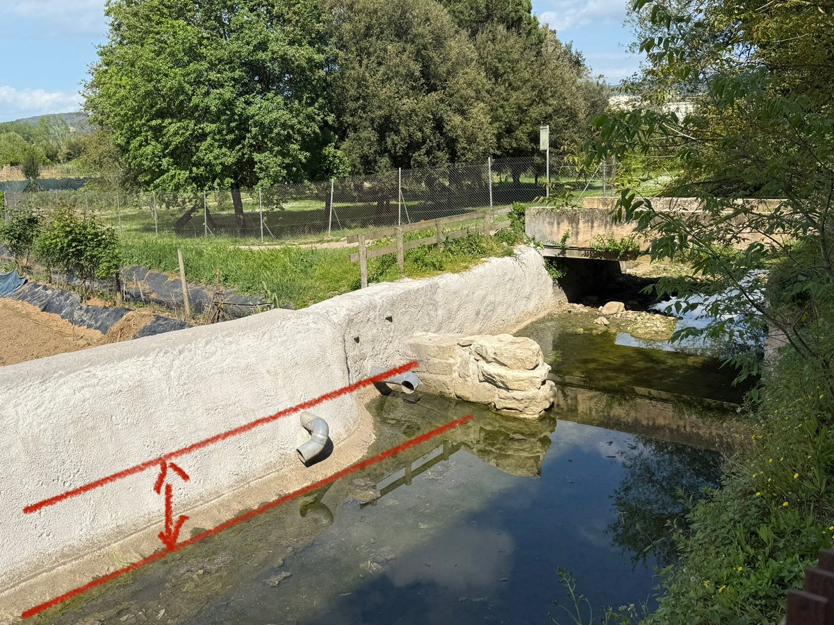 La poca aigua que corre per la Sèquia Monar és només per les cases de l’Onyar. Perquè pels regants de les hortes, ni una gota.

En vermell el nivell que falta perquè arribi aigua de rec per unes hortes que, dia a dia, es van degradant.

Per què no corre més aigua <a href="/Girona_Cat/">Ajuntament de Girona</a> ?