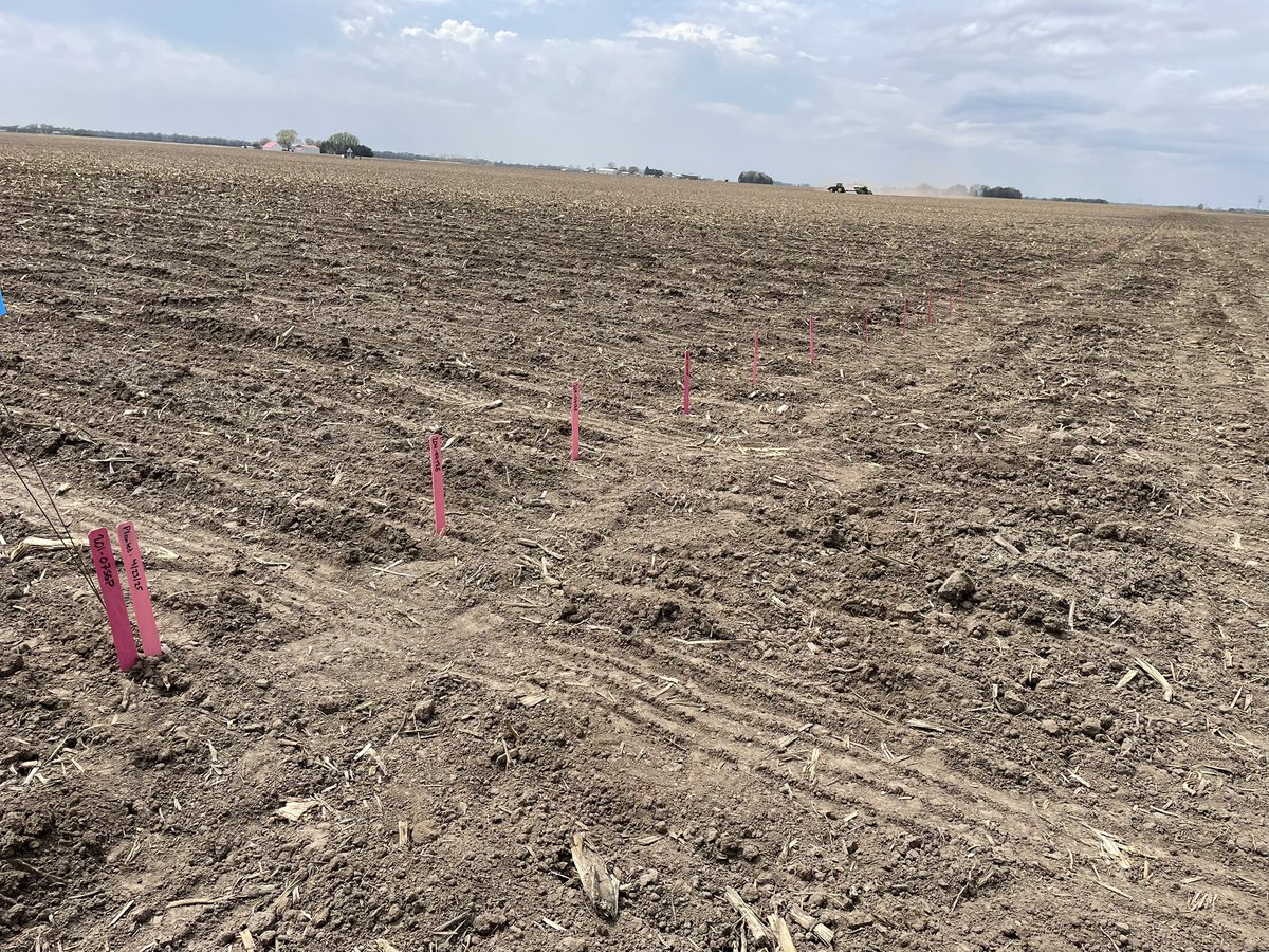 Rodger Farr (@farrbicide) on Twitter photo One TD trial down, 30 more to go! Put in a 48 entry disease screening near Lexington, NE with <a href="/DustinOhanlon/">Dustin O'Hanlon</a> and <a href="/Channel_NE/">Channel Nebraska</a> #Bayer4NE One TD trial down, 30 more to go! Put in a 48 entry disease screening near Lexington, NE with <a href="/DustinOhanlon/">Dustin O'Hanlon</a> and <a href="/Channel_NE/">Channel Nebraska</a> #Bayer4NE