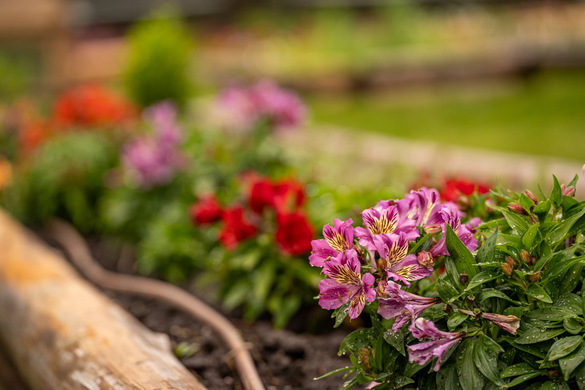 Flathead Lake Lodge tweet media