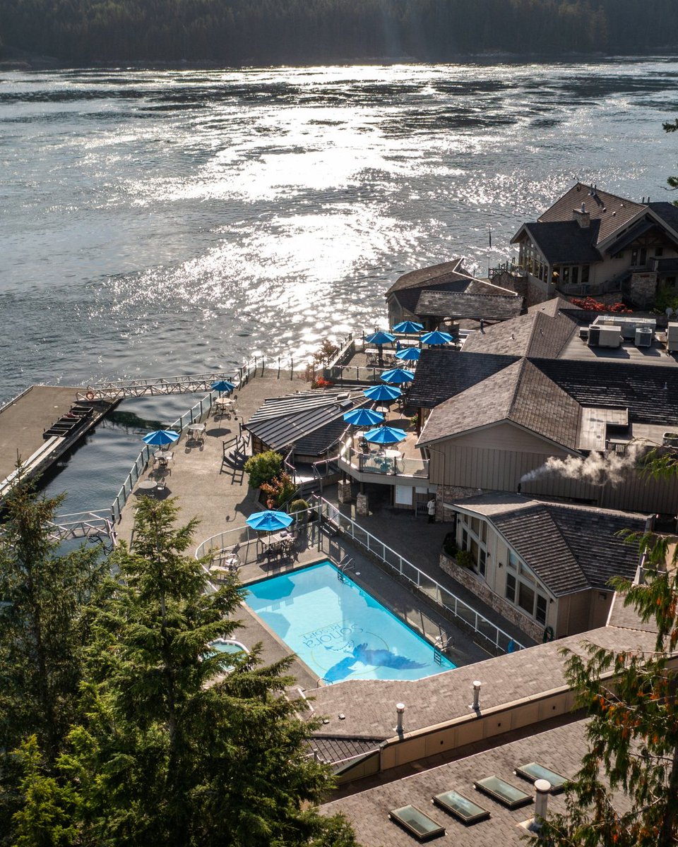 The countdown is on! ⏳
Sonora Resort reopens May 1 for the 2025 season. From ocean views to wilderness adventures, it’s almost time to escape to the wild. 🏔️🌊

#SonoraResort #RelaisChateaux #WelcomeToWild #LuxuryTravel #GreatBearRainforest #TravelBC