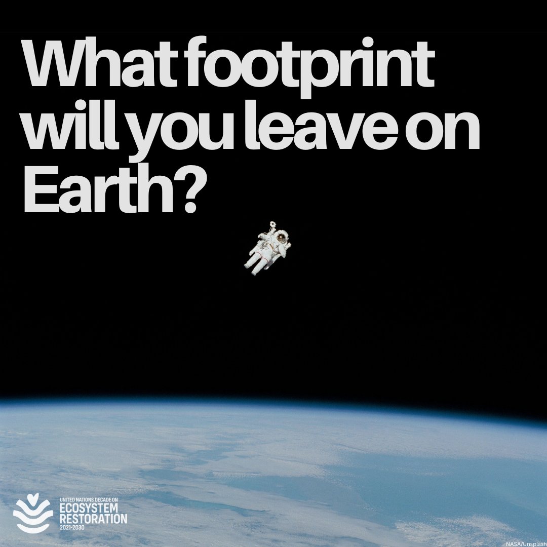 Want to help restore the planet but don't know how?

Explore the interactive to find an action you can do - some even in 11 minutes.

Find your action. Take the pledge to act. Join #GenerationRestoration today. decadeonrestoration.org/game