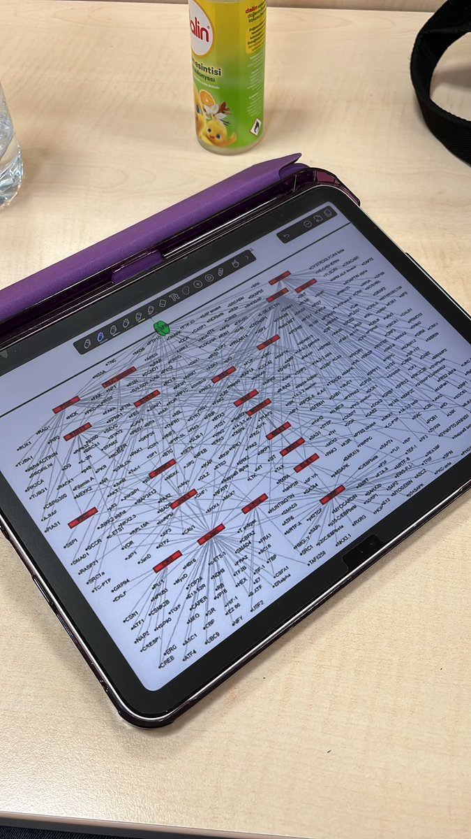 hocanın bu slaytı anlarsanız konuyu anlarsınız dediği slayt