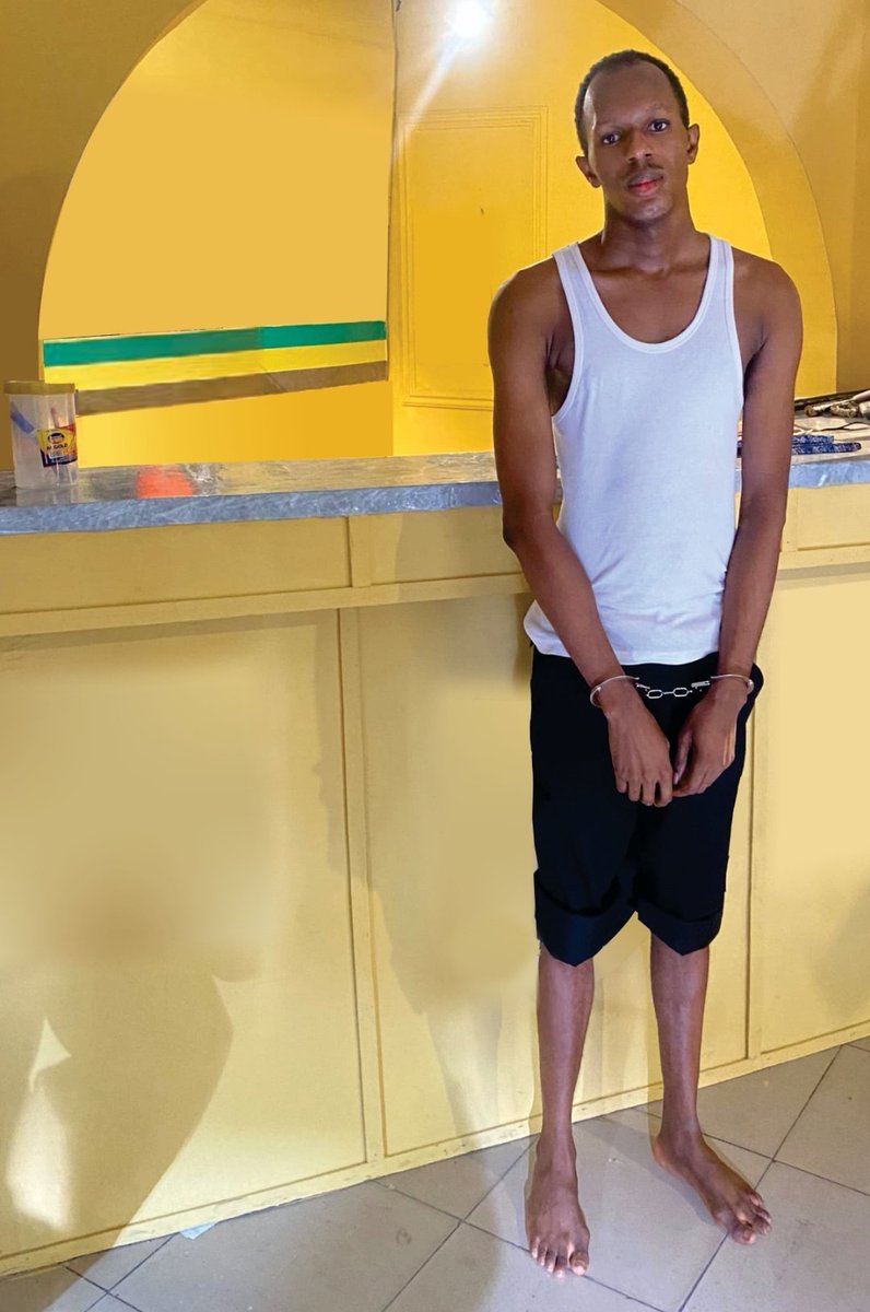 Daniel Regha tweet media