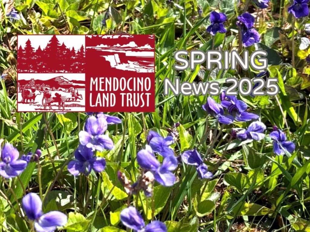 Updated Post: Spring 2025 News mendocinolandtrust.org/spring-2025-ne…