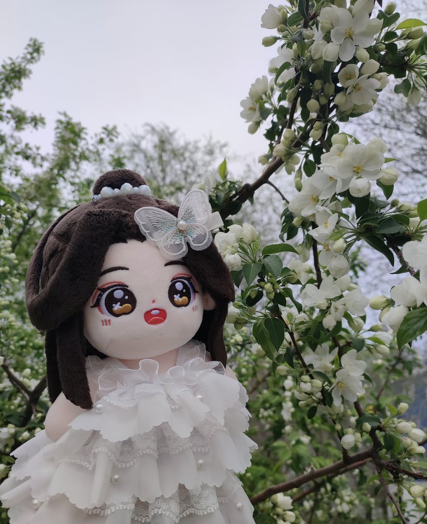 HuaLian Servant 🌺 tweet media