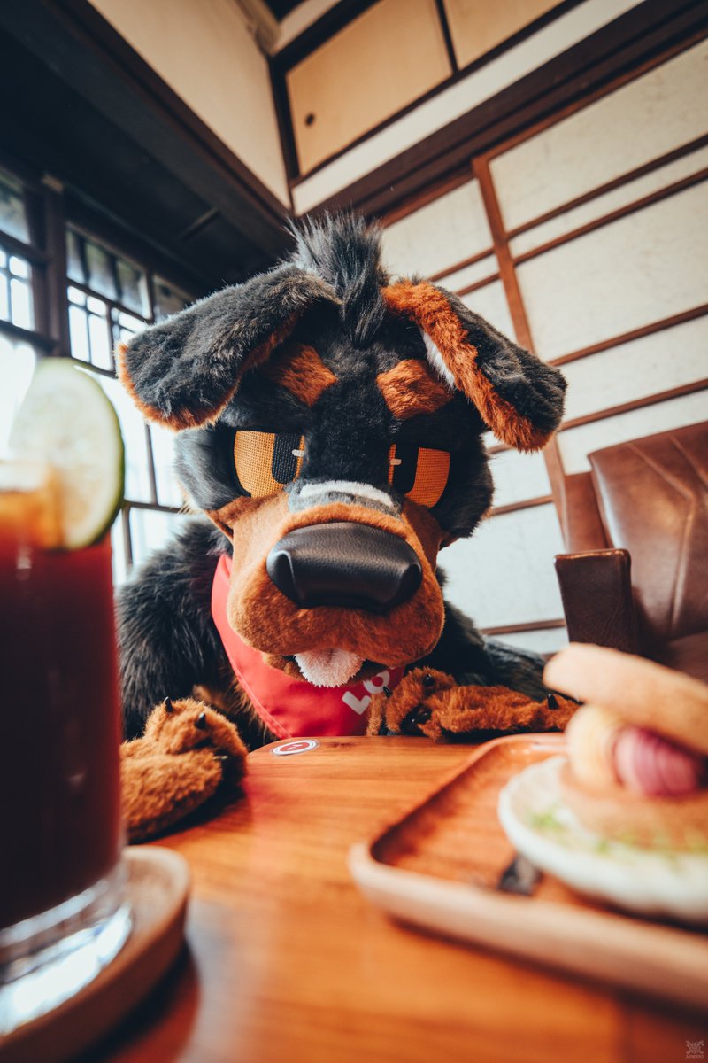 I’m hungry!🐶🍴
#FursuitFriday #FursuitsFriday

📷<a href="/VinTheCoyote/">VinTheCoyote</a>