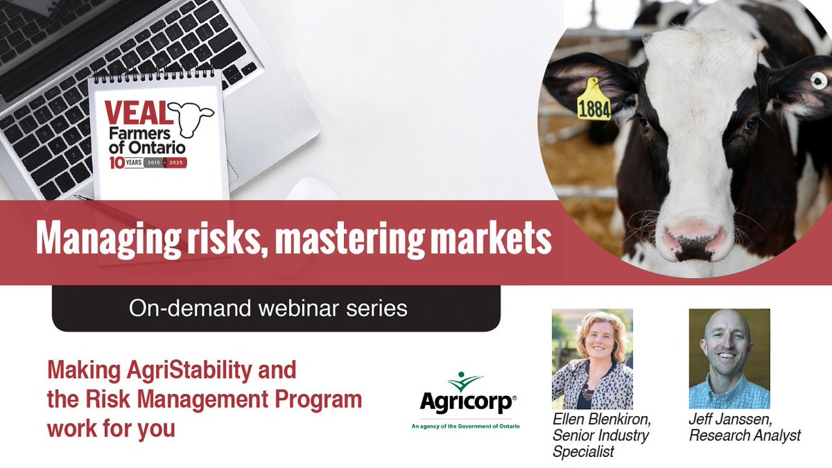 Advance your knowledge with VFO's new on-demand webinar series, tailored for grain-fed veal producers. 

Visit vealfarmers.ca/on-demand/ to learn more and watch the first webinar release sharing details about Agricorp’s suite of programs for mitigating financial risks.