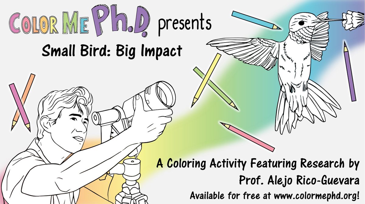 We are delighted to share a new coloring booklet featuring Prof. Alejo Rico-Guevara from UW! In collaboration with guest journalist Travis Marmon, we dive into his fascinating research on hummingbirds: small birds with big impact! 

Free PDF at bit.ly/smallbirdbigim…!