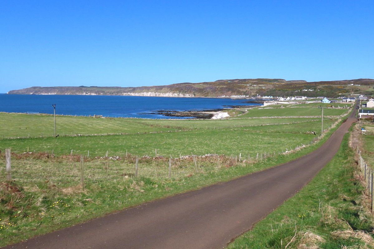 Rathlin Stickybeak tweet media