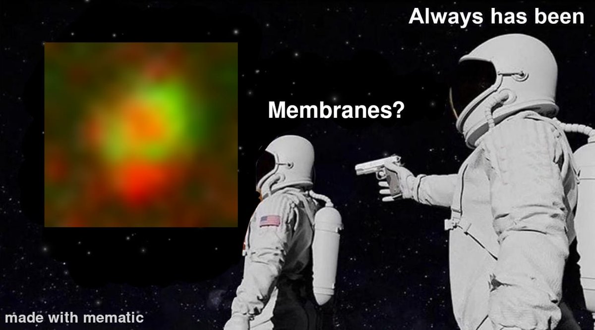 BembenekLab's tweet image. Stay tuned for our latest manuscript. New insights into how vesicle trafficking is regulated during cell division. The lab made this meme when we started this project from a surprise observation.