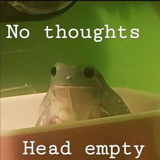 WholesomeMeme's tweet photo. https://t.co/18CcwThEPK