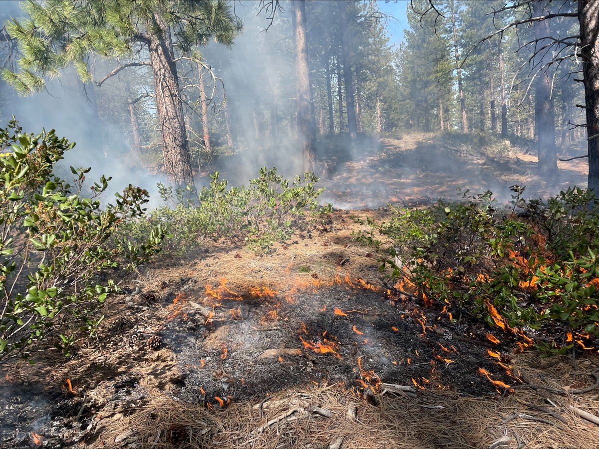 🔥Test fire ignitions were favorable 3 miles west of Bend, firefighters are continuing with ignitions on up to 450 acres. Trail &amp; road closures are in place.