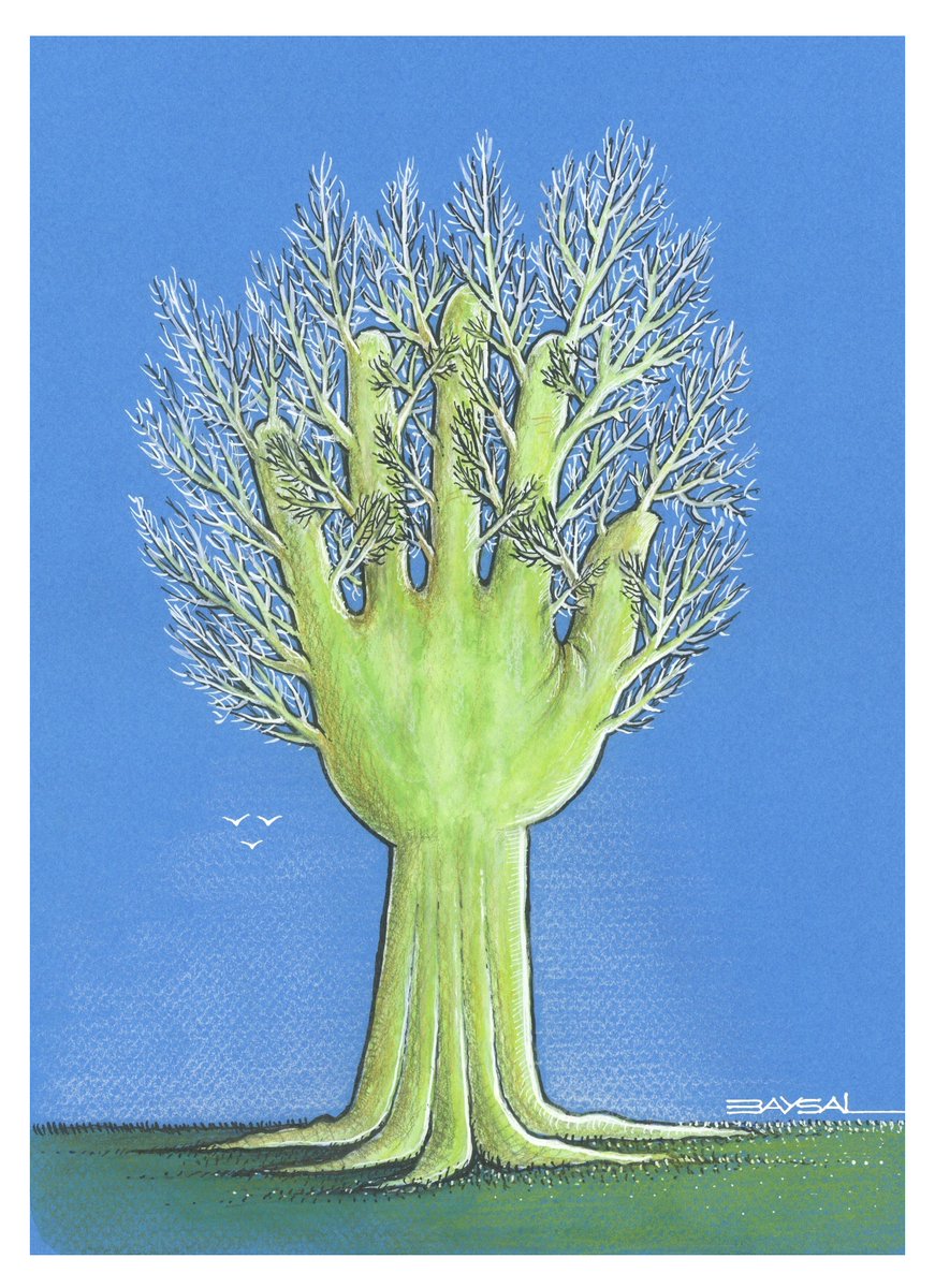 Ercan BAYSAL (@3aysal) on Twitter photo 