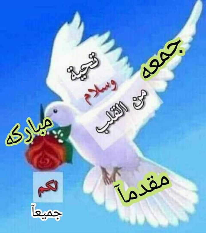 فواز (@abwamr74687) on Twitter photo 