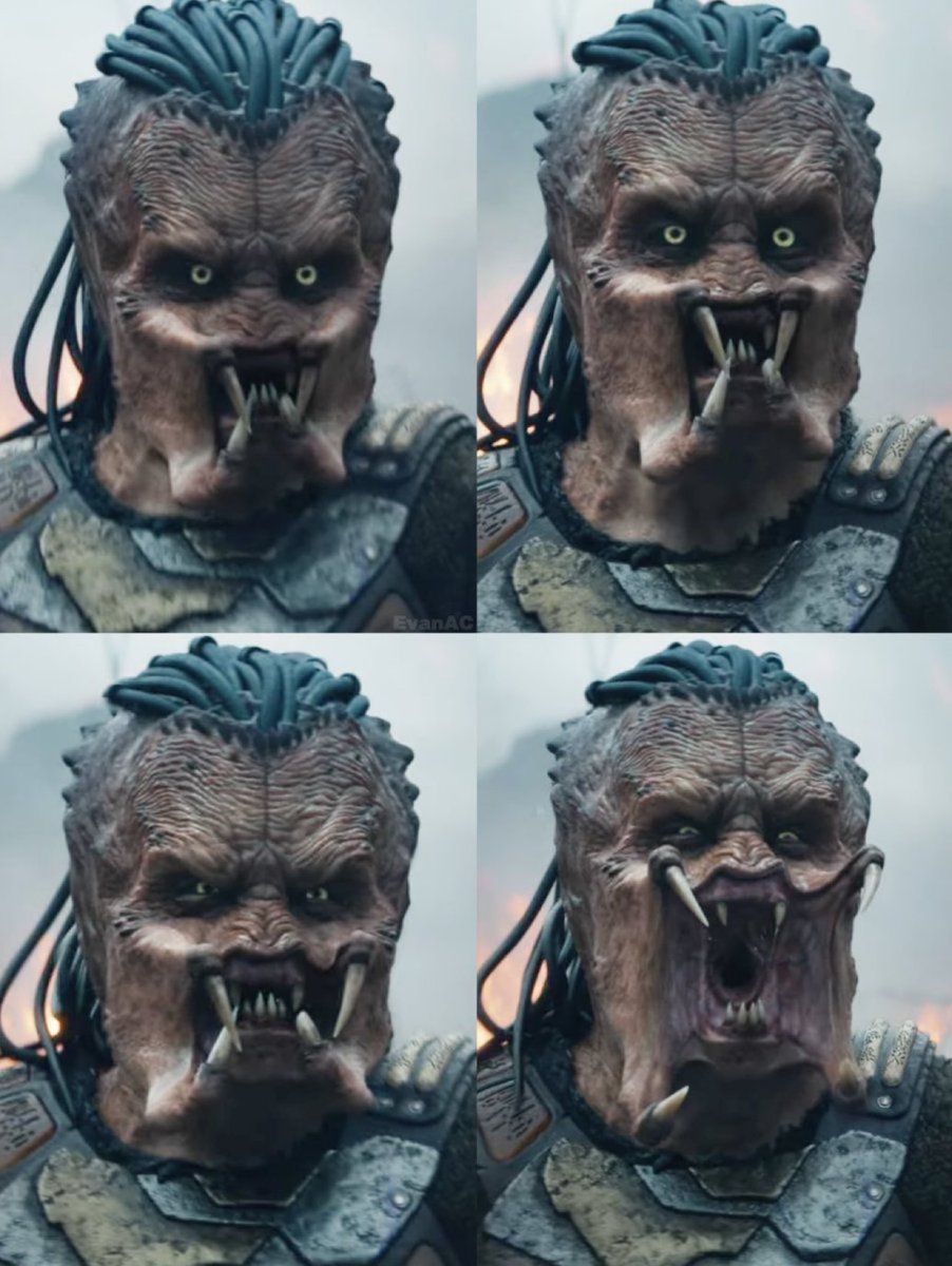 AlphaFox tweet media