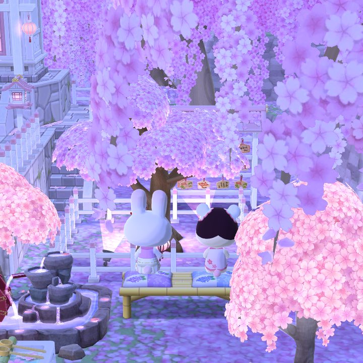 acpc_whh's tweet photo. #acpc https://t.co/SvWnaBkdqX