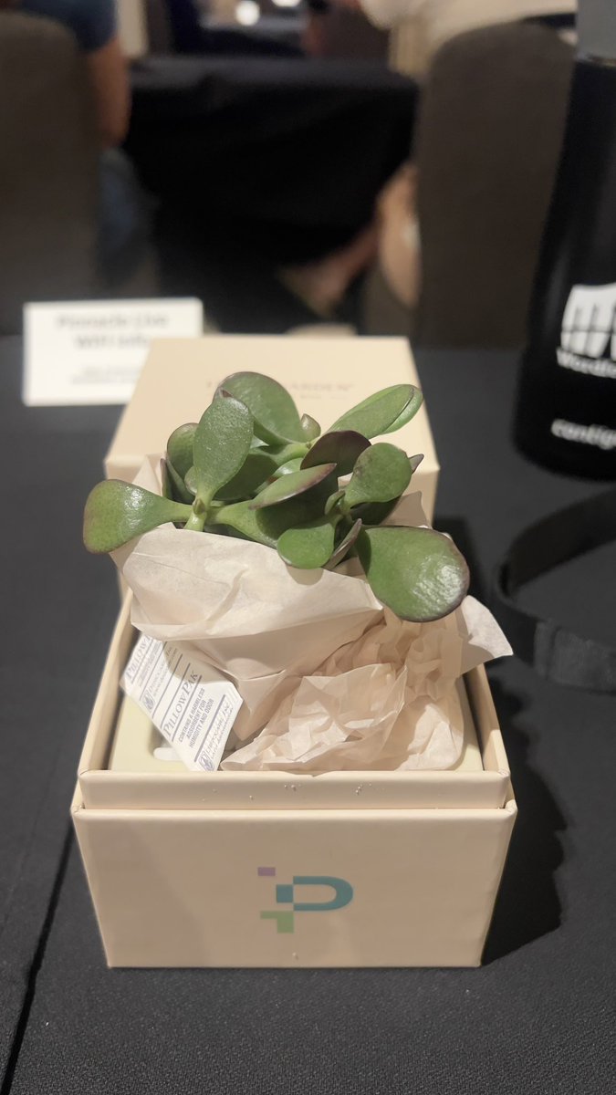 Thank you 🤩! <a href="/Press__Conf/">PressConf</a> #PressConf #WordPress