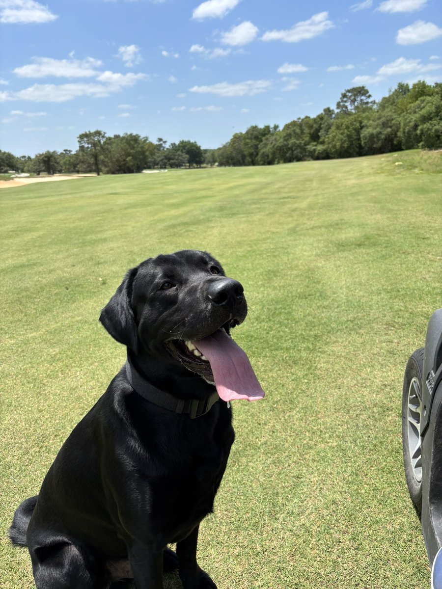 Jeremiah Mincey tweet media