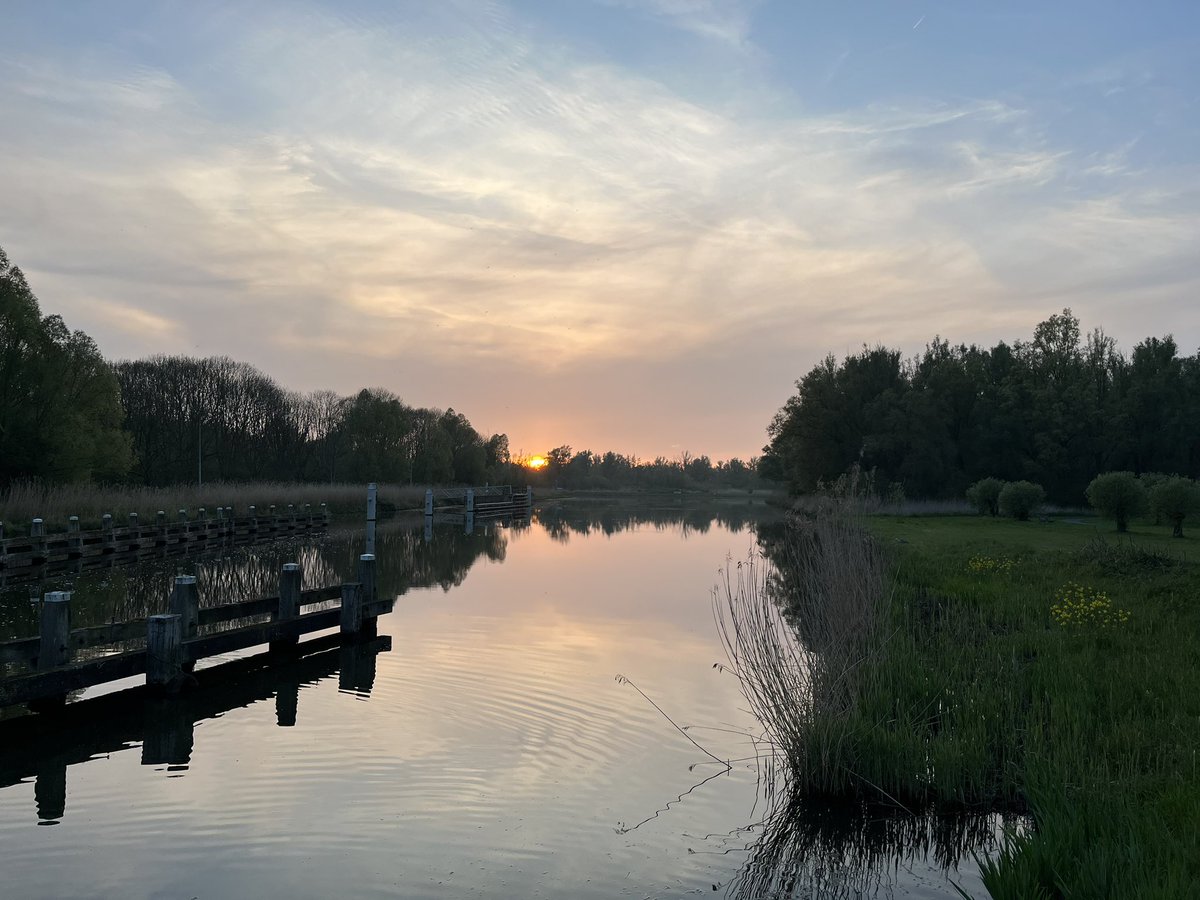 Zangstem's tweet image. Kwam even buurten en zag dat ik lang niets meer heb gepost. Hier een mooi plaatje dat ik afgelopen week maakte.