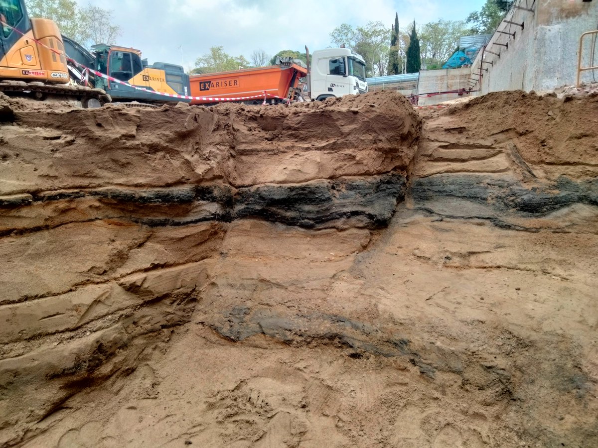 srieramora's tweet photo. El projecte PaleoBarcino està col.laborant en l'estudi de la configuració litoral en aquesta època i l'evolució d'un canal del Besòs en el sector, a partir de la fauna marina  i formanífers.
S'estudien els grans de pol.len de la pega del casc per determinar els ports de reparació https://t.co/tbTa76cI4K