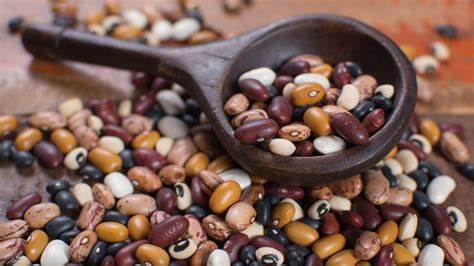 Consell del 24 d'abril:

El verb “escollir” és un castellanisme: en #boncatalà es diu ELEGIR, si destinam algú per a un càrrec o per a un altre propòsit, i TRIAR, si separam persones o coses d'on eren mesclades.

Exemples: ‘elegir un president’ i ‘triar fesols’.

Que corri.