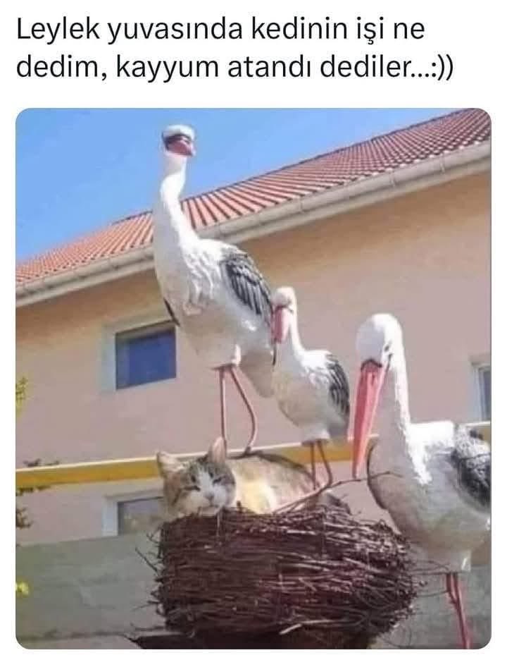 “İzahı olmayan şeylerin mizahı olur.”