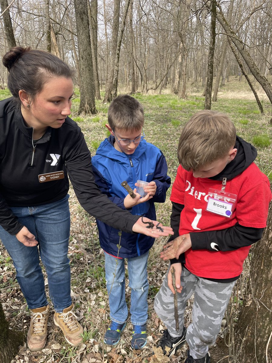 Heidi Diercks tweet media