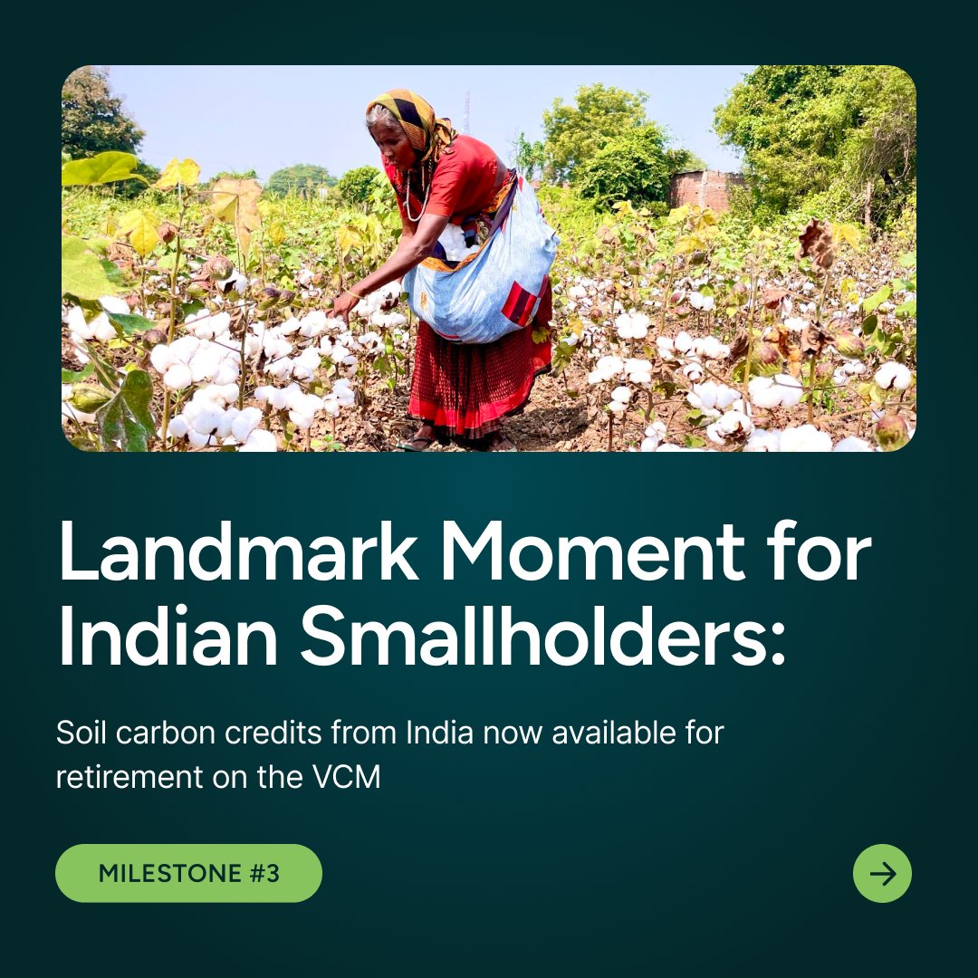 Boomitra tweet media