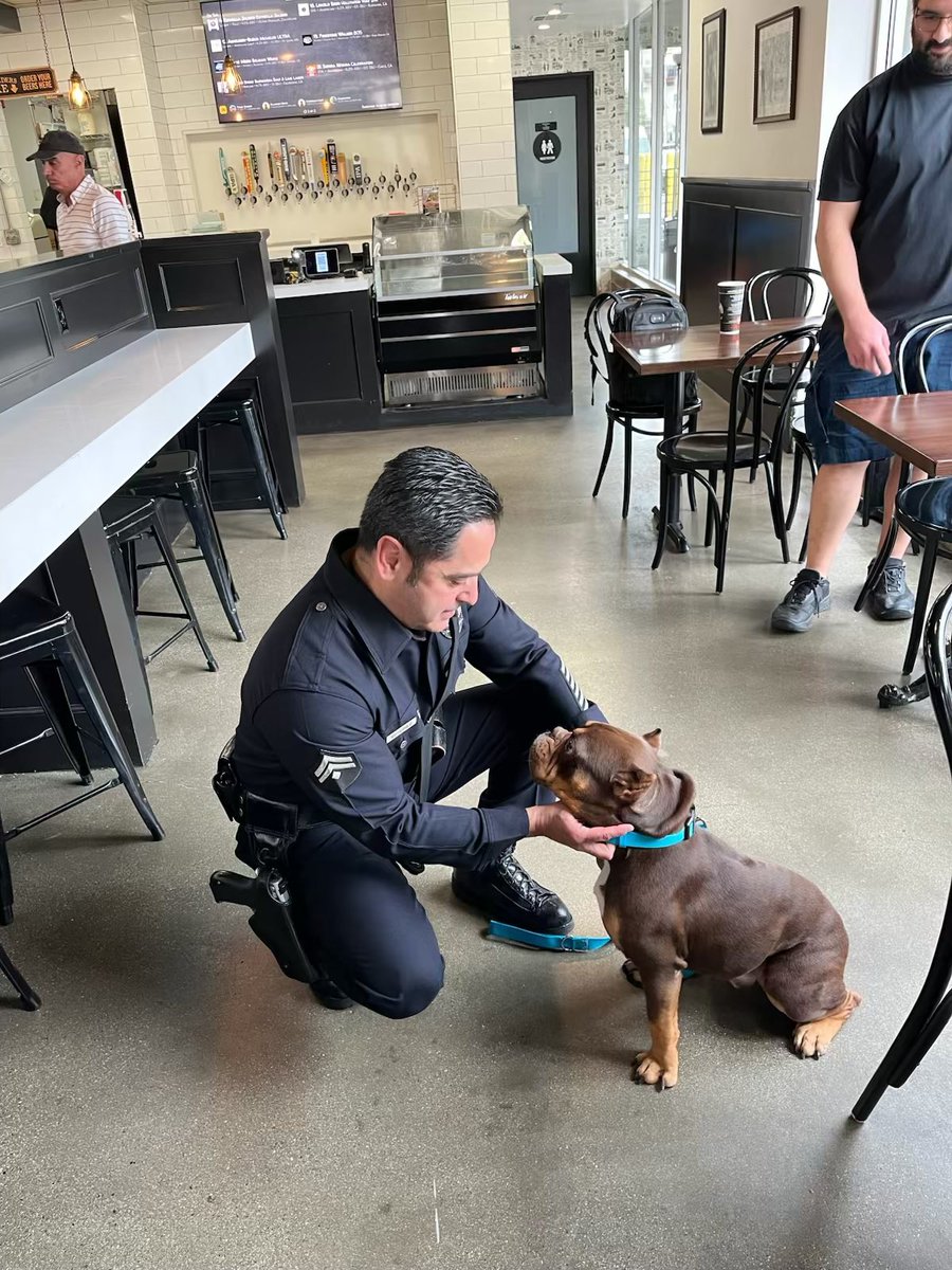 LAPD Central Division (@lapdcentral) on Twitter photo Central Division Detectives assigned to the investigation involving “Rusty” had the opportunity to visit him and check on his welfare. Rusty is in good spirits, full of energy and love. 🐶 <a href="/ABC7/">ABC7 Eyewitness News</a> <a href="/FOXLA/">FOX 11 Los Angeles</a> <a href="/CbsLos/">CBS News Los Angeles</a> <a href="/KTLA/">KTLA</a> <a href="/kcalnews/">KCAL News</a> <a href="/NBCLA/">NBC Los Angeles</a> <a href="/ginasilvafox11/">Gina Silva</a> Central Division Detectives assigned to the investigation involving “Rusty” had the opportunity to visit him and check on his welfare. Rusty is in good spirits, full of energy and love. 🐶 <a href="/ABC7/">ABC7 Eyewitness News</a> <a href="/FOXLA/">FOX 11 Los Angeles</a> <a href="/CbsLos/">CBS News Los Angeles</a> <a href="/KTLA/">KTLA</a> <a href="/kcalnews/">KCAL News</a> <a href="/NBCLA/">NBC Los Angeles</a> <a href="/ginasilvafox11/">Gina Silva</a>