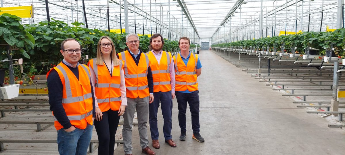HannahVCooper's tweet image. 🚜 Huge thank you to @ResearchDF for hosting @UniofNottingham researchers today.

🌱 Great discussions on shared priorities for sustainable farming.

🍓 And some really tasty strawberries!

@UoNFoodSystems @tstorr1 @RichMMeredith @NickGirkin
