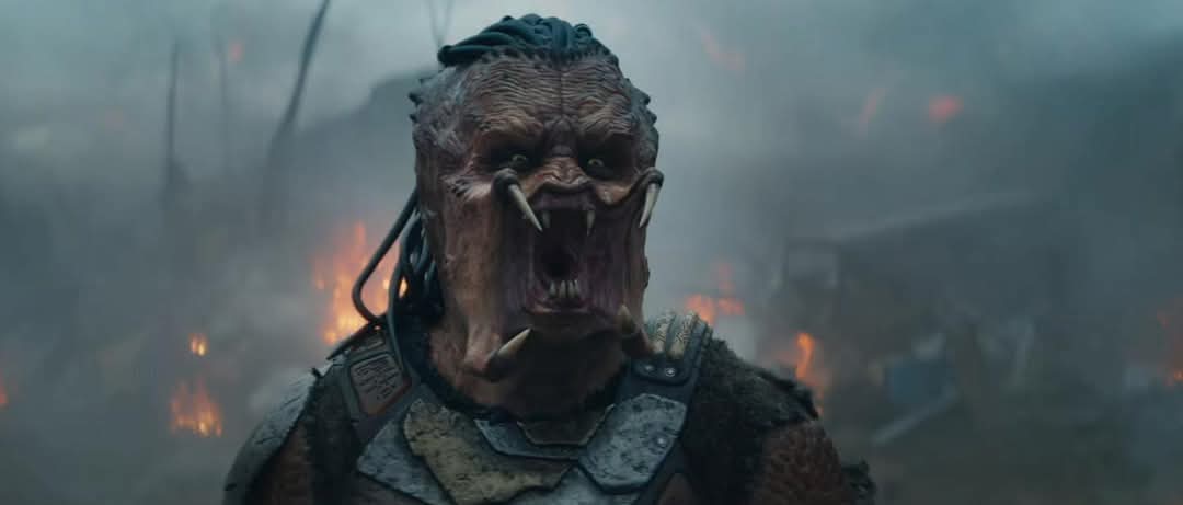 sakis lykos tweet media