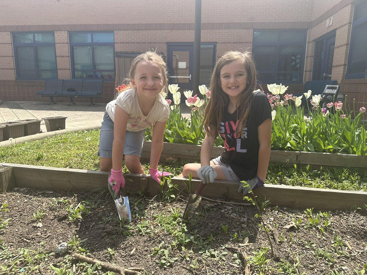 MSD Decatur tweet media