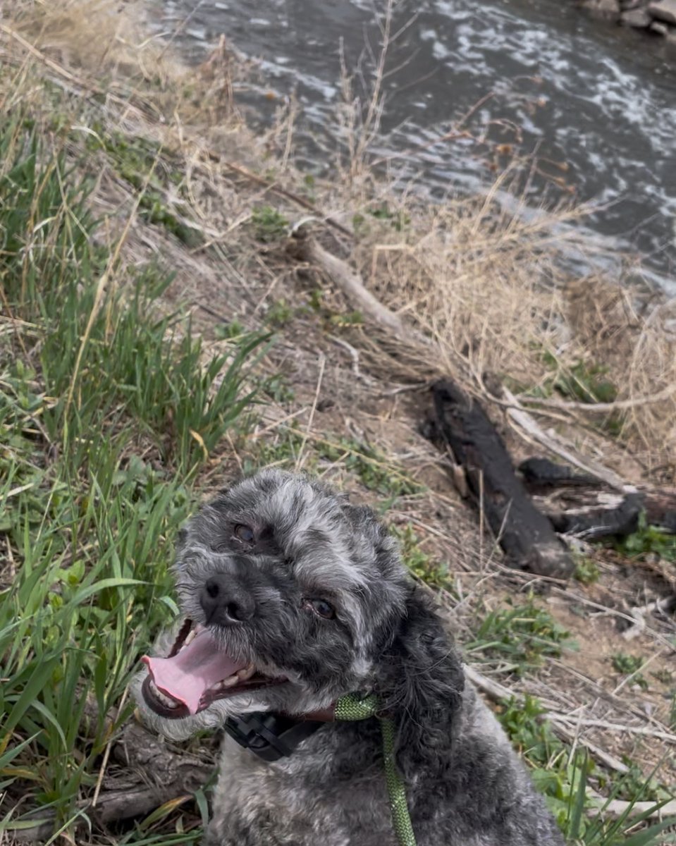 Jenna Morrison ✨ is agented & on submission ✨ tweet media