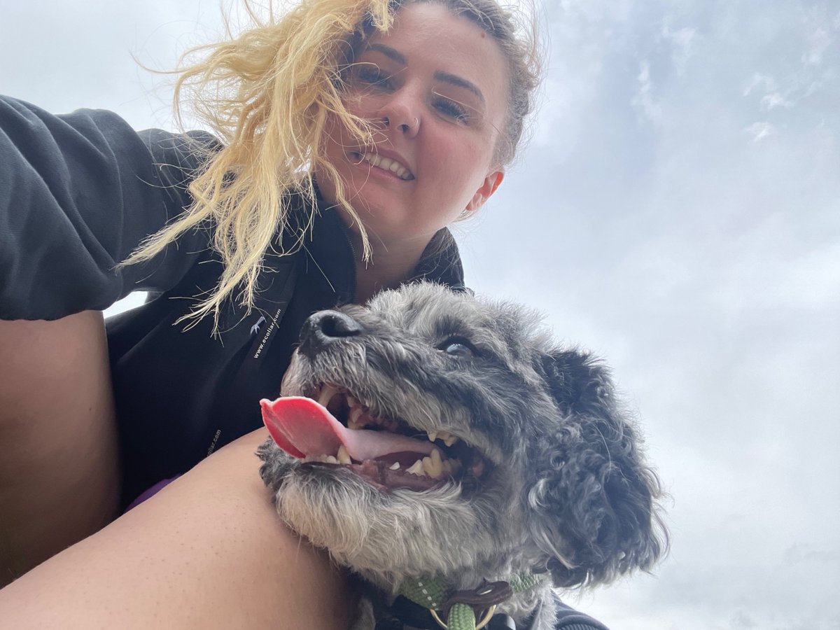 Jenna Morrison ✨ is agented & on submission ✨ tweet media