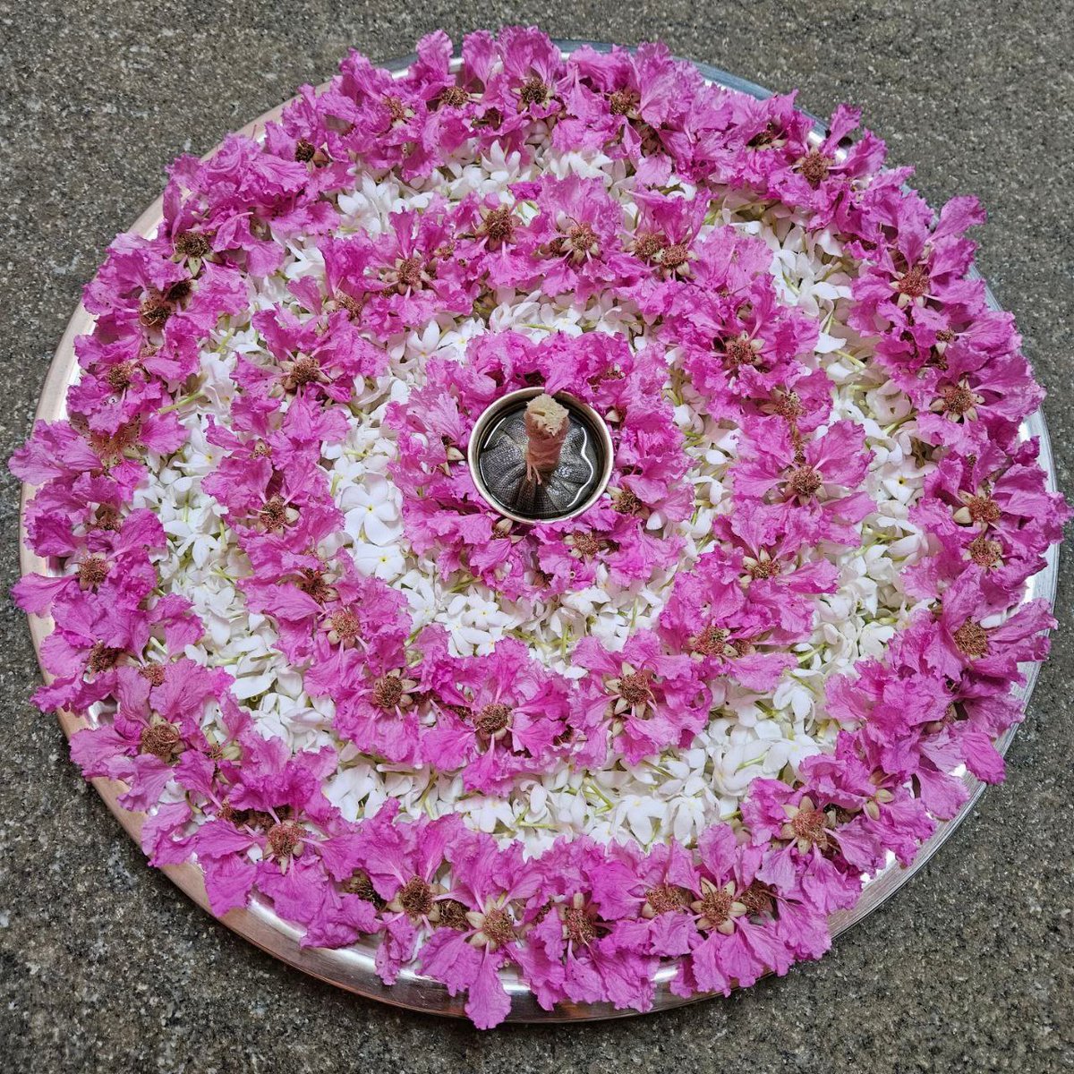 Amma Chimes (@ammachimes) on Twitter photo After Arati and Shanti Mantras, Amma led a silent prayer for the innocent lives lost in the Pahalgam terrorist attack—praying for peace for their families and the departed souls <a href="/Amritapuri/">Amritapuri Ashram</a> Ashram. #PrayersForPeace #Amma #Pahalgam After Arati and Shanti Mantras, Amma led a silent prayer for the innocent lives lost in the Pahalgam terrorist attack—praying for peace for their families and the departed souls <a href="/Amritapuri/">Amritapuri Ashram</a> Ashram. #PrayersForPeace #Amma #Pahalgam