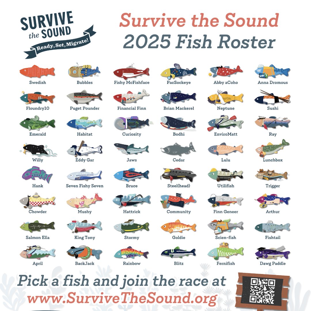 Can you survive the Puget Sound? Learn what it takes for Puget Sound steelhead to migrate to the Pacific Ocean by playing Long Live the Kings' online game based on NOAA Fisheries science.  Join this free race to “Survive the Sound” from April 28 to May 2 .survivethesound.org